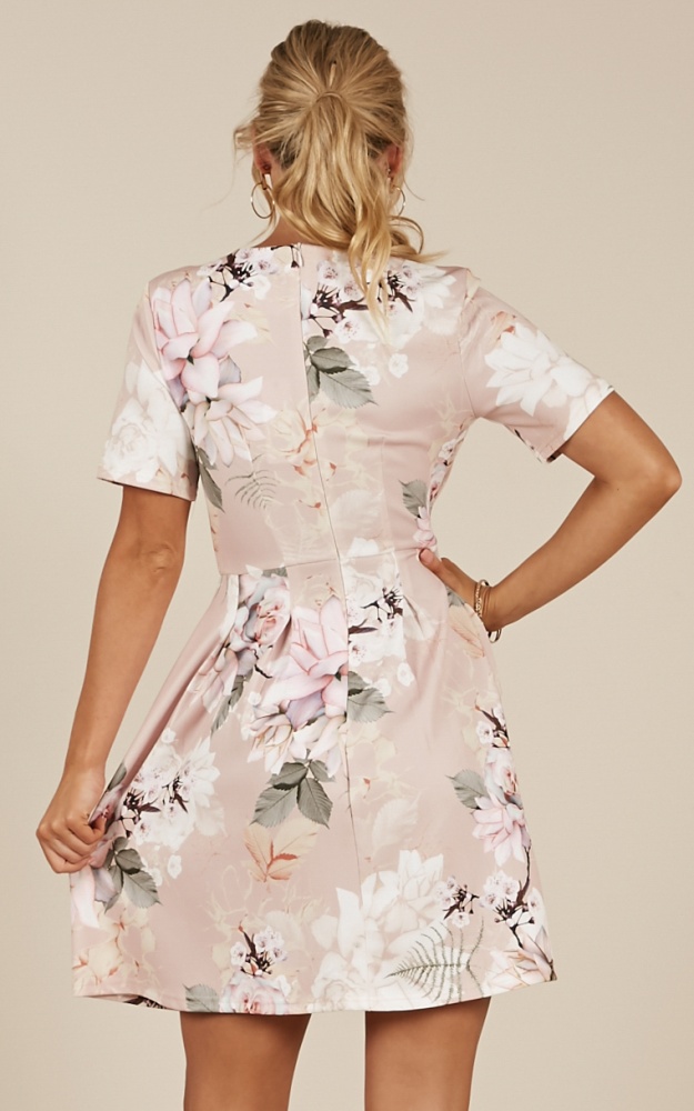 Meet The Parents Dress In Blush Floral Showpo
